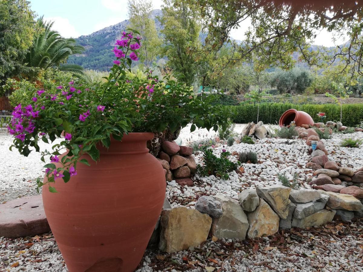 Alojamiento Rural Casa Fuente Del Prado La Iruela Exteriör bild