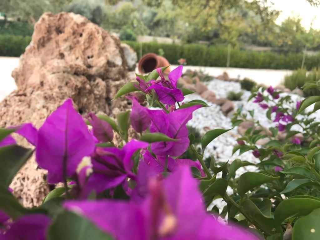 Alojamiento Rural Casa Fuente Del Prado La Iruela Exteriör bild