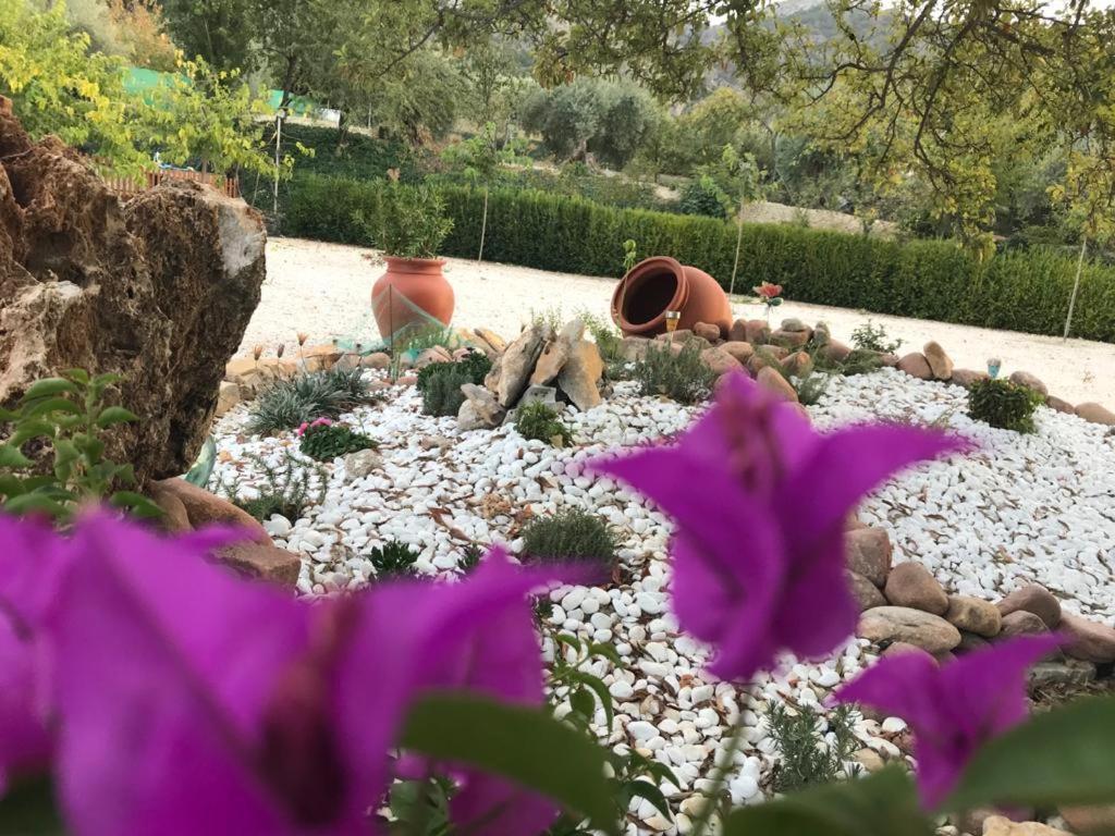 Alojamiento Rural Casa Fuente Del Prado La Iruela Exteriör bild
